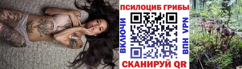 Псилоцибиновые грибы мицелий Заполярный